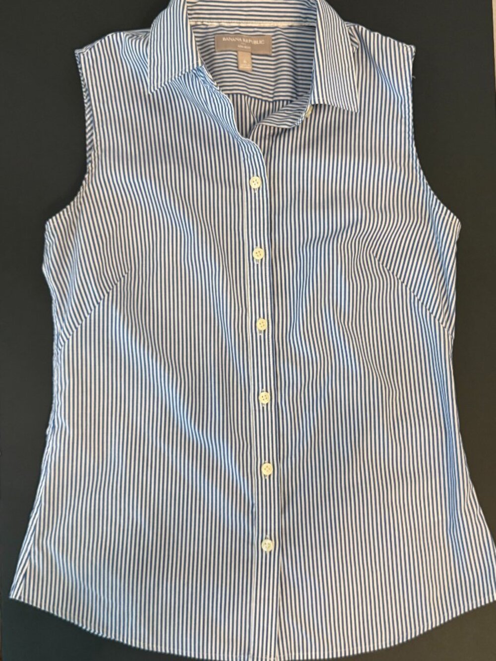Banana Republic Blue & White Striped Sleeveless Shirt – Size 6